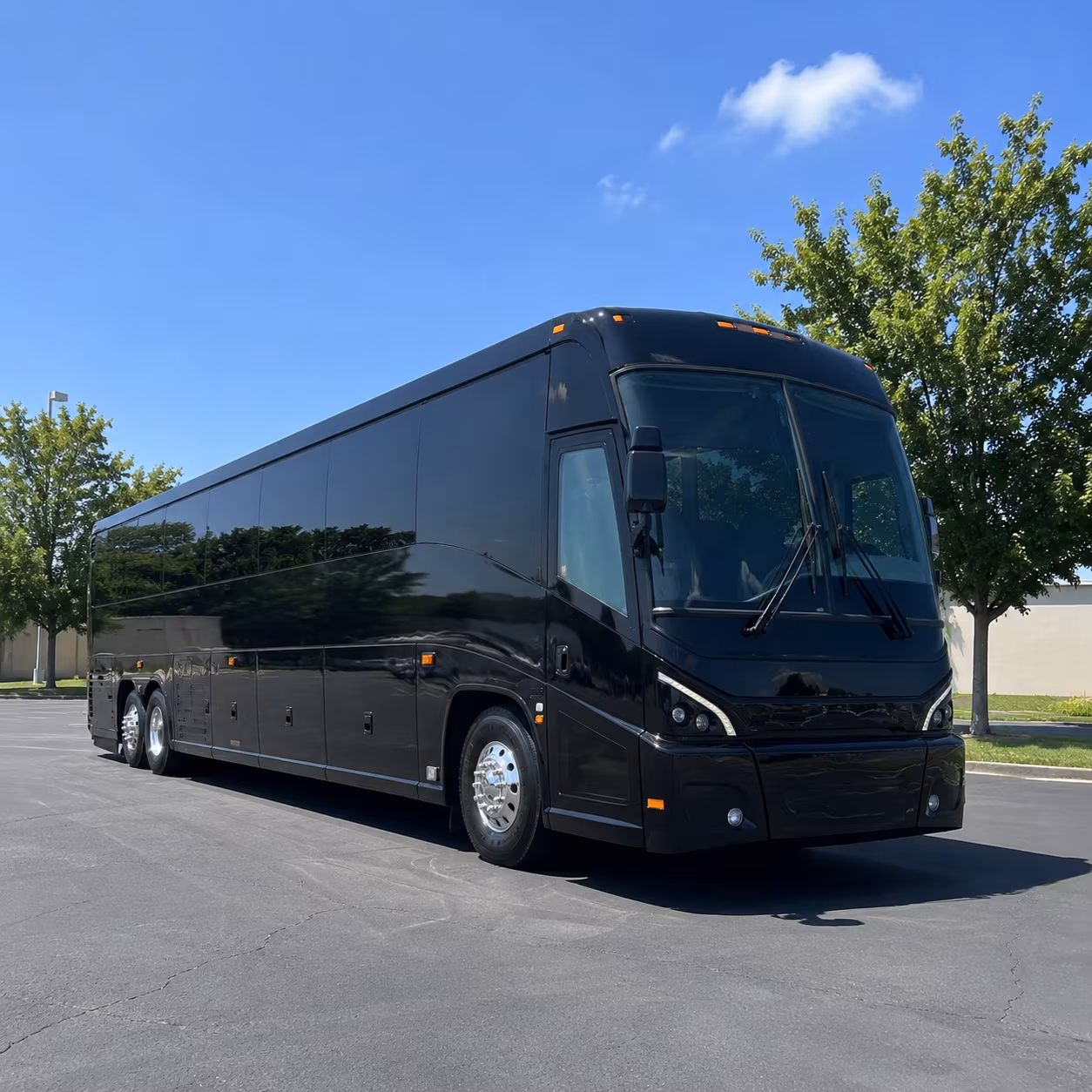 medford 56 passenger charter bus